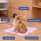 🔥Summer Hot Sale 60% OFF🧊Premium Cooling Mat For Pet