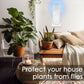 🎁LAST DAY SALE 60% OFF🔥Plug-in Fly Insect Trap
