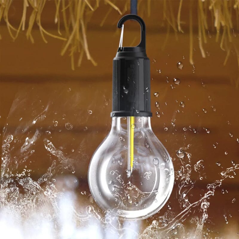 🔥Last Day Promotion 49% OFF -💡New Outdoor Camping Hanging Type-C Charging Retro Bulb Light-4