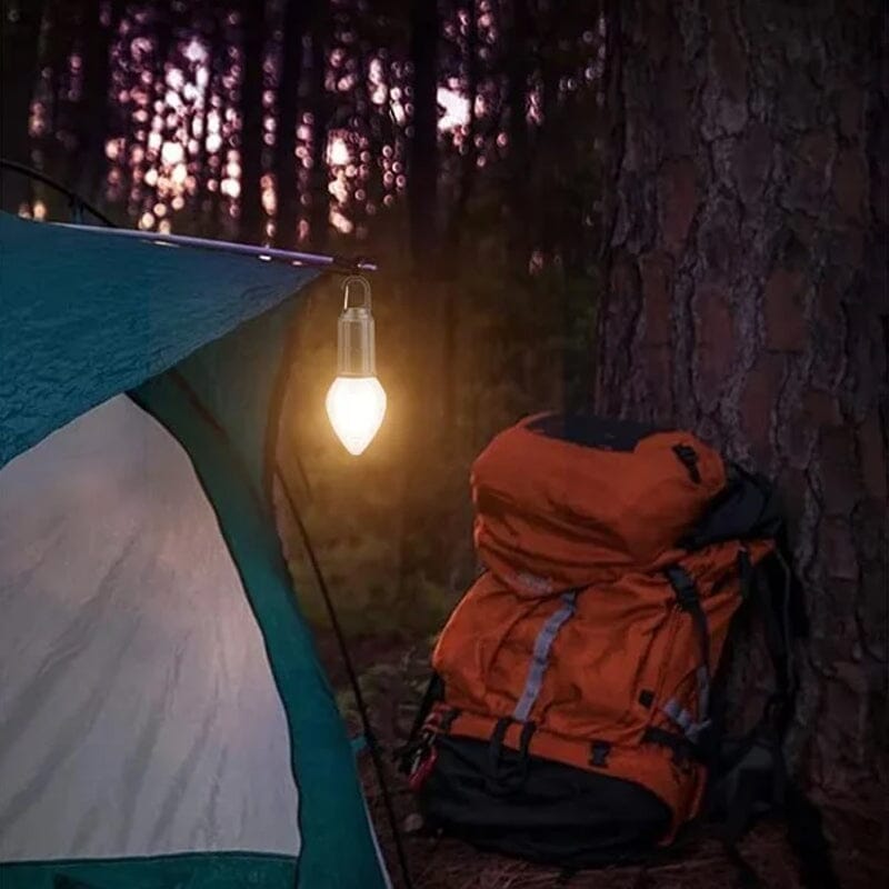 🔥Last Day Promotion 49% OFF -💡New Outdoor Camping Hanging Type-C Charging Retro Bulb Light-5