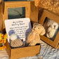 ✨Limited Promotion UP TO 65% OFF!🧸🎁Handmade Mini Plush Teddy Bear in Box