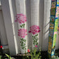 🔥Summer Hot Sale Promotion-49% OFF🌻Garden Fence Large Flower Stencils🖌️DIY decoration-8