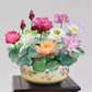 🌺Mixed Color Bonsai Bowl Lotus Seeds🌺