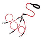 🔥Last Day: 49% OFF!🔥🐕🐕Double Bungee Leash - 1st Step Training Tool