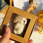✨Limited Promotion UP TO 65% OFF!🧸🎁Handmade Mini Plush Teddy Bear in Box