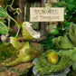🔥🔥2025 Mother's Day Gift 50% Off--Miniature Green Dragon Reading on Giant Book Figurine