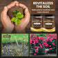 🔥Seasonal promotion- 49% OFF🔥-Soil Pro Activator