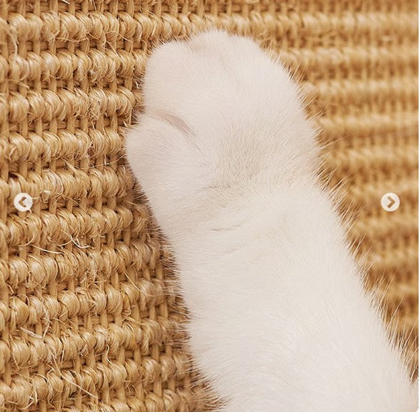 🎅Hot Sale 49% Off✨Natural Sisal Cat Scratcher Mat-9