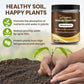 🔥Seasonal promotion- 49% OFF🔥-Soil Pro Activator