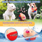 🐾🐷 Active Moving Pet Plush Toy - Buy 2 Free Shipping