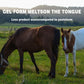 💖LAST DAY SALE 50% OFF💖✈️ivermectin Horse Paste 1.87% 6.08g Tubes