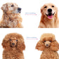 🐾 Last Day-BUY 1 GET 1 FREE🏆✂️Dog Grooming Comb UK – Stainless Steel Double-Sided Brush, Universal Detangling & Shedding Tool for Daily Pet Coat Care
