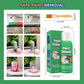 Efficient Paint Stripper-6