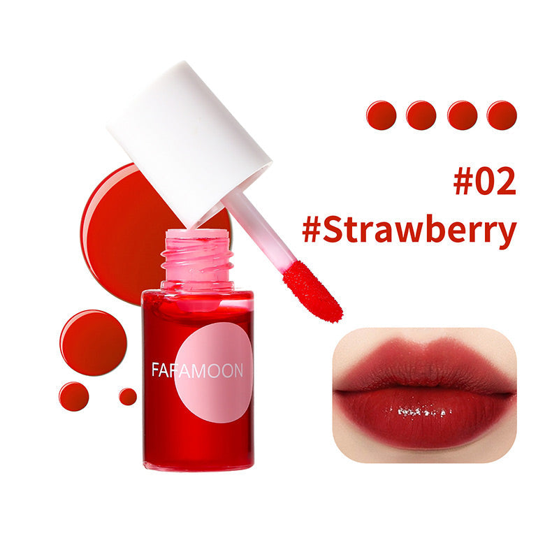 4 Colors Moisturizing Long-Lasting Lip Gloss-8