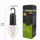 🔥Last Day Promotion 49% OFF -💡New Outdoor Camping Hanging Type-C Charging Retro Bulb Light-18